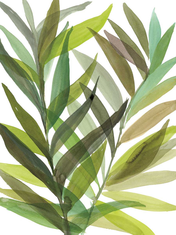 Tropical Greens 1 stretched canvas by artist Rebecca Myers