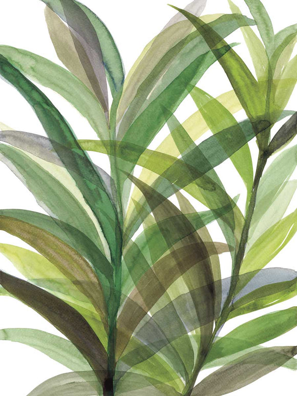 Tropical Greens 2 stretched canvas by artist Rebecca Myers