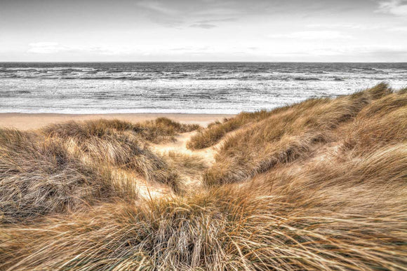 Beach Dunes stretched canvas by artist Assaf Frank