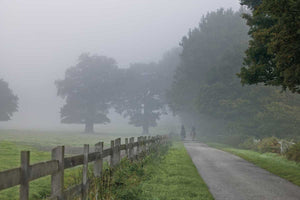 Country Ride by Assaf Frank - multiple sizes