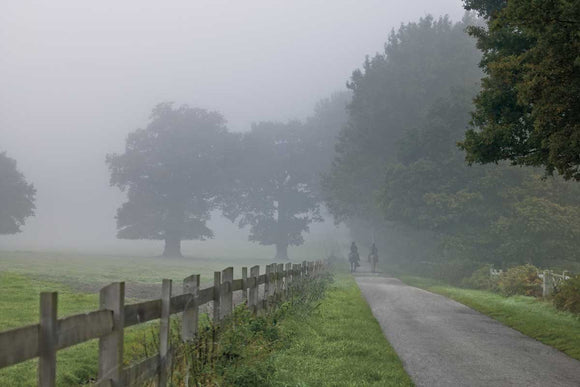 Country Ride by Assaf Frank - multiple sizes