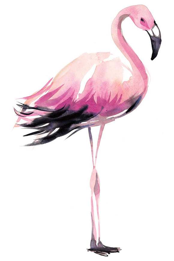 Flamingo stretched canvas by Marina Billinghurst